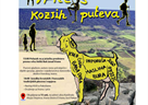 Predstavljanje projekta Altervia Multivox